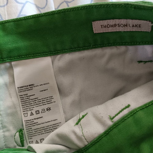 Timberland Thompson Lake green men's chino pants