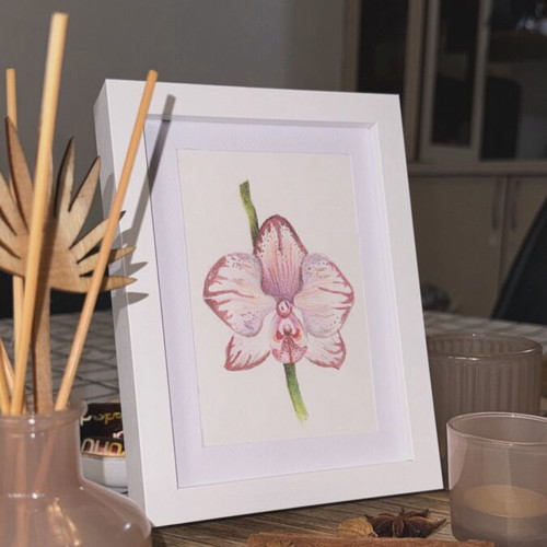 Orchid Pencil Drawing 13x18 cm, new