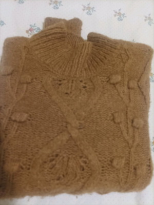 Only brown pullover with high neck like new