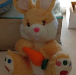 Plush Bunny New
