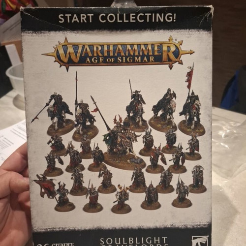 Warhammer Soulblight Gravelords miniatures used, missing some parts