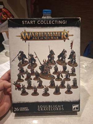 Warhammer Soulblight Gravelords miniatures used, missing some parts