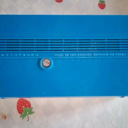 Petrel B321 radio used, 1960s, with leather case
