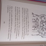 The Diary of a Wimpy Kid like new