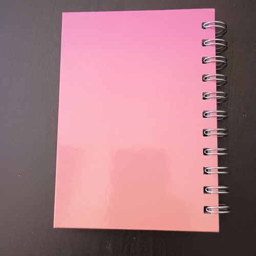 Spiral notebooks like new, pack of 2, pages with boxes