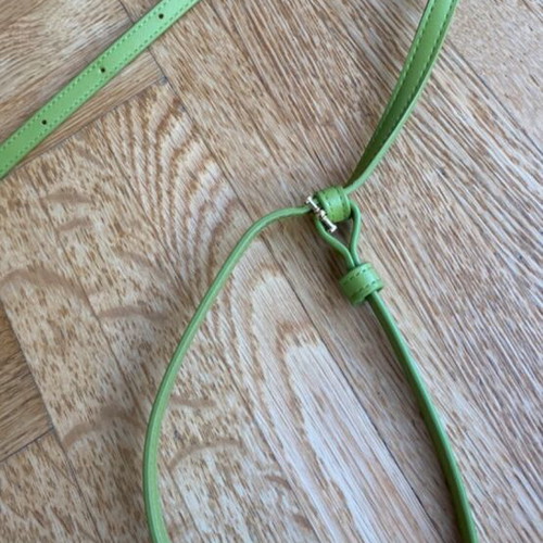 Caprice green crossbody phone bag wallet