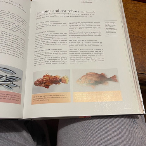 Teubner Fish and Seafood book new, English