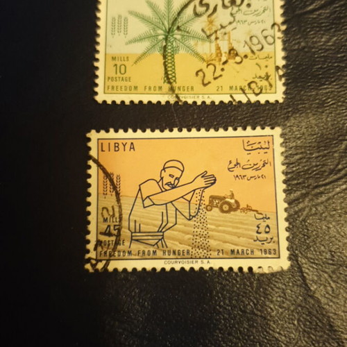 Libya 1963 stamps used, 10 & 45 mills, set of 2