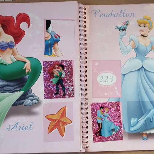 Panini Disney Princess Sticker Album used French edition