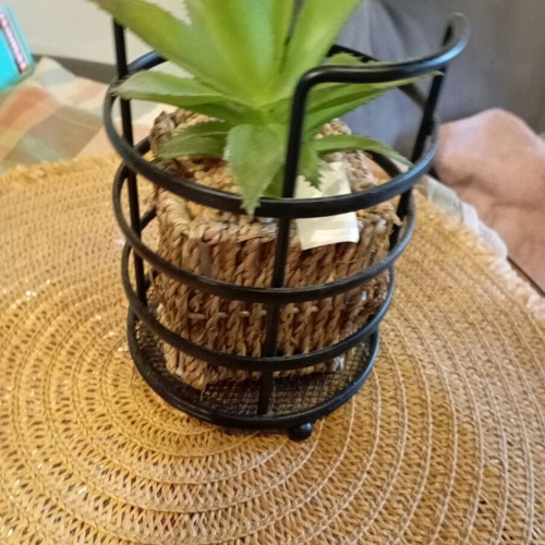 Decorative plant in seaweed new, together