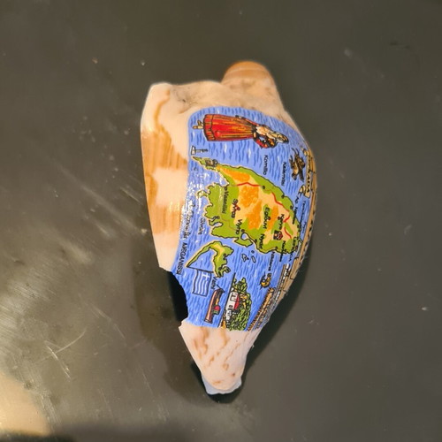 Souvenir shell magnet from Lefkada like new