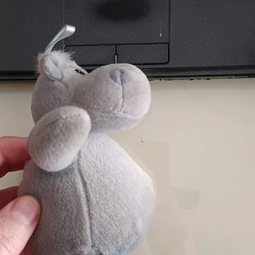 Plush hippopotamus used