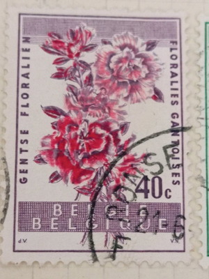 Belgium 1960 Gent flower festival stamps like new