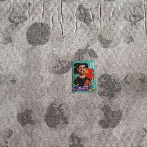 FIFA World Cup 2026 Panini sticker BEL 2