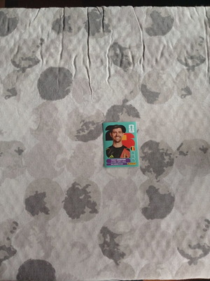 FIFA World Cup 2026 Panini sticker BEL 2