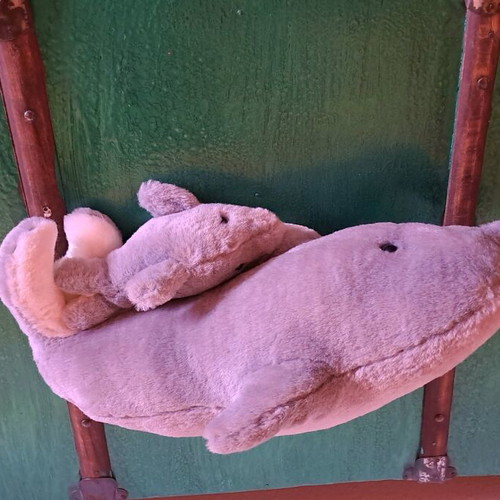 Stuffed dolphin used in good condition