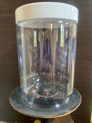 Transparent plastic storage jars PET 700 ml food safe