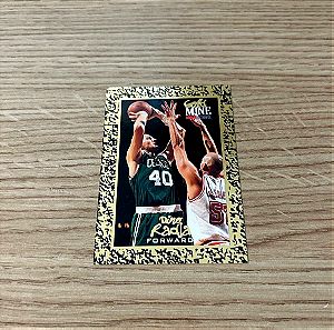 Κάρτα Dino Radja Boston Celtics 1995 Skybox