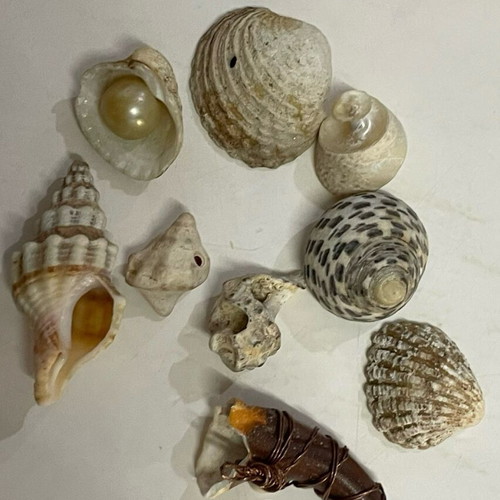 Shells and Pebbles Pack like new for Crafts
