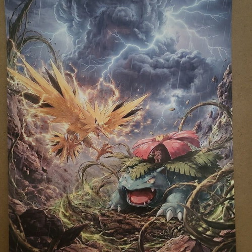 Pokemon battle A4 photo print