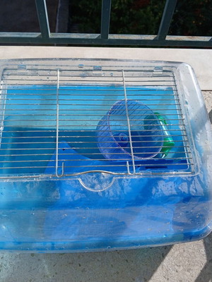 Cage for hamster or turtles used, blue with water bottle