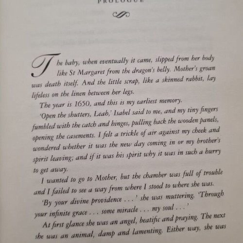 The Hemlock Cure hardcover book like new, English