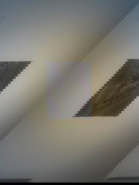 πίνακας ζωγραφικής