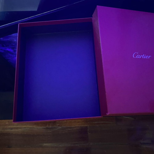 Cartier box and Dior bag with two pairs of Louboutin and Gucci cloth shoe bags used