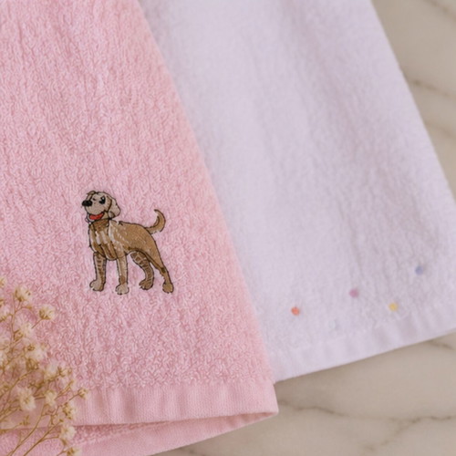 Set of 2 Face Towels like new