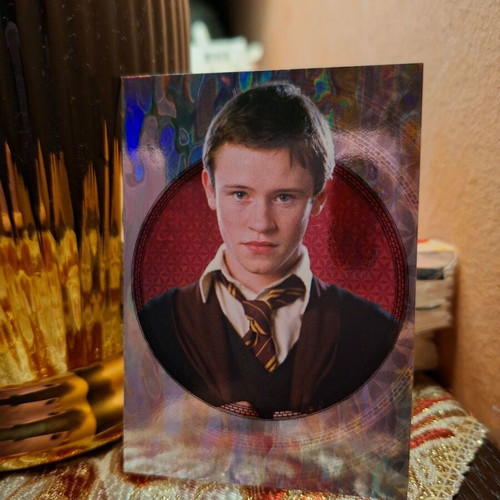 Harry Potter Seamus Finnigan card new collectible Warner Bros