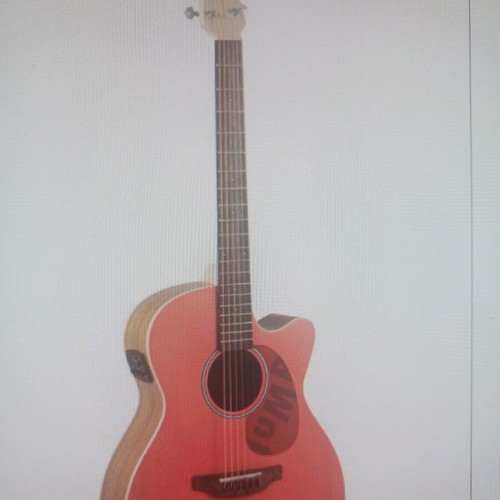 Applause Peach AEO 69 0 electro-acoustic guitar new