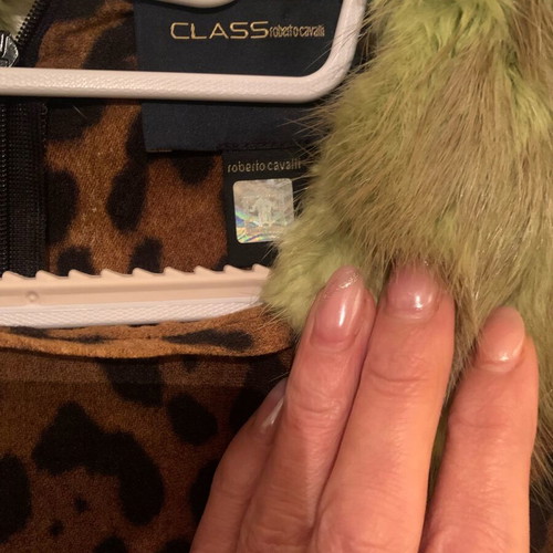Roberto Cavalli