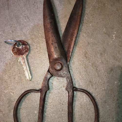 Handmade Forged Antique Scissors Used for Sheep Shearing