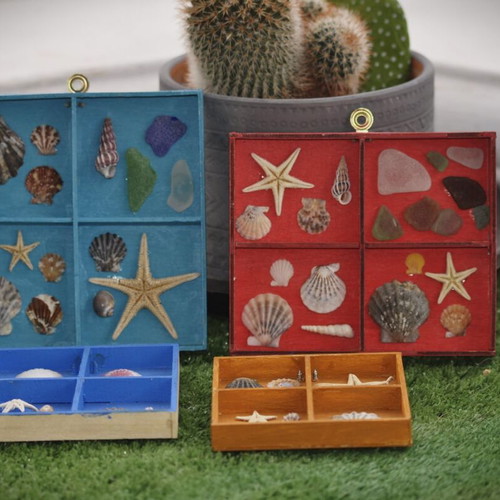 Colorful wall frames with seashells set of 5 new