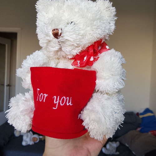 Plush teddy bear in excellent condition
