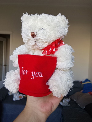 Plush teddy bear in excellent condition
