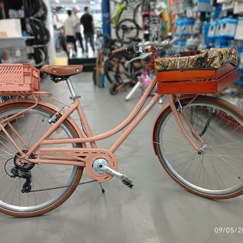 Vintage Alpina Women's City Bicycle new, 29 inch wheels, 7-speed Shimano