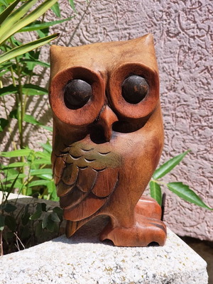 Large wooden carved owl