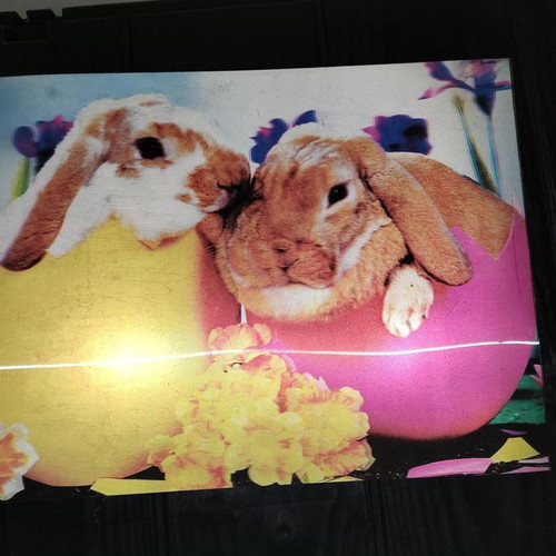 3D Picture With Bunnies In Eggs, Like New, 39x29 cm