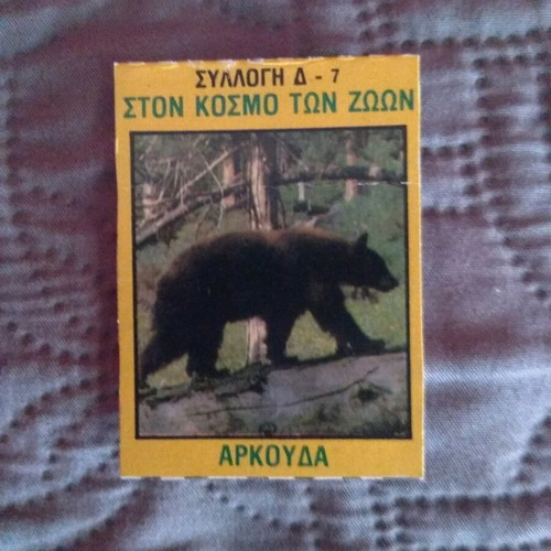 Bleck Collection D-7 Bear Card from Ston Kosmo Ton Zoon like new