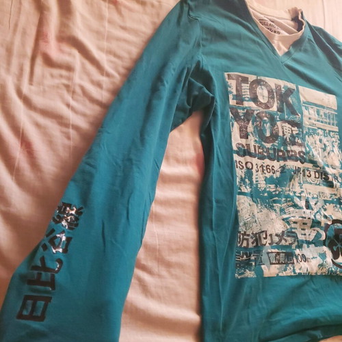 Pull & Bear Tokyo Suburbs graphic long-sleeve tee size L, teal, like new