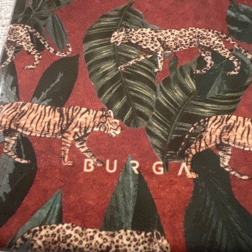 Samsung S21 Burga case used