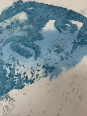 Pericles Cyanotype cyanotype like new, authentic