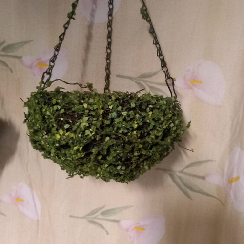 Hanging flower pots used, set of two