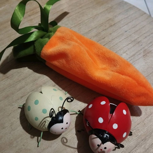 Spring decorations used, pack with 2 metal ladybugs and carrot pouch