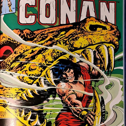 The Chronicles of King Conan Vol. 2 used, Vengeance from the Desert