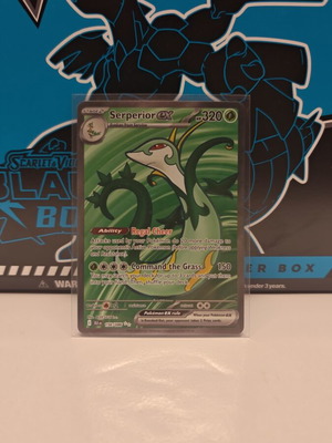 Pokemon card Serperior ex 156/086 new