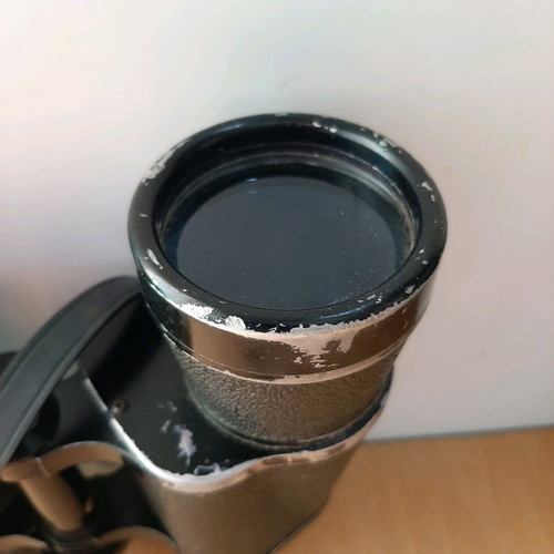 Horizon Ambassador 10×50 binoculars used, vintage Japanese model