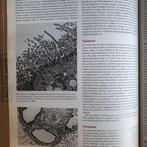 Internal Medicine Book used