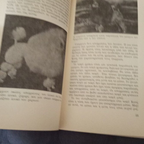 Kanis book by Eric Aberman, 1983, Greek